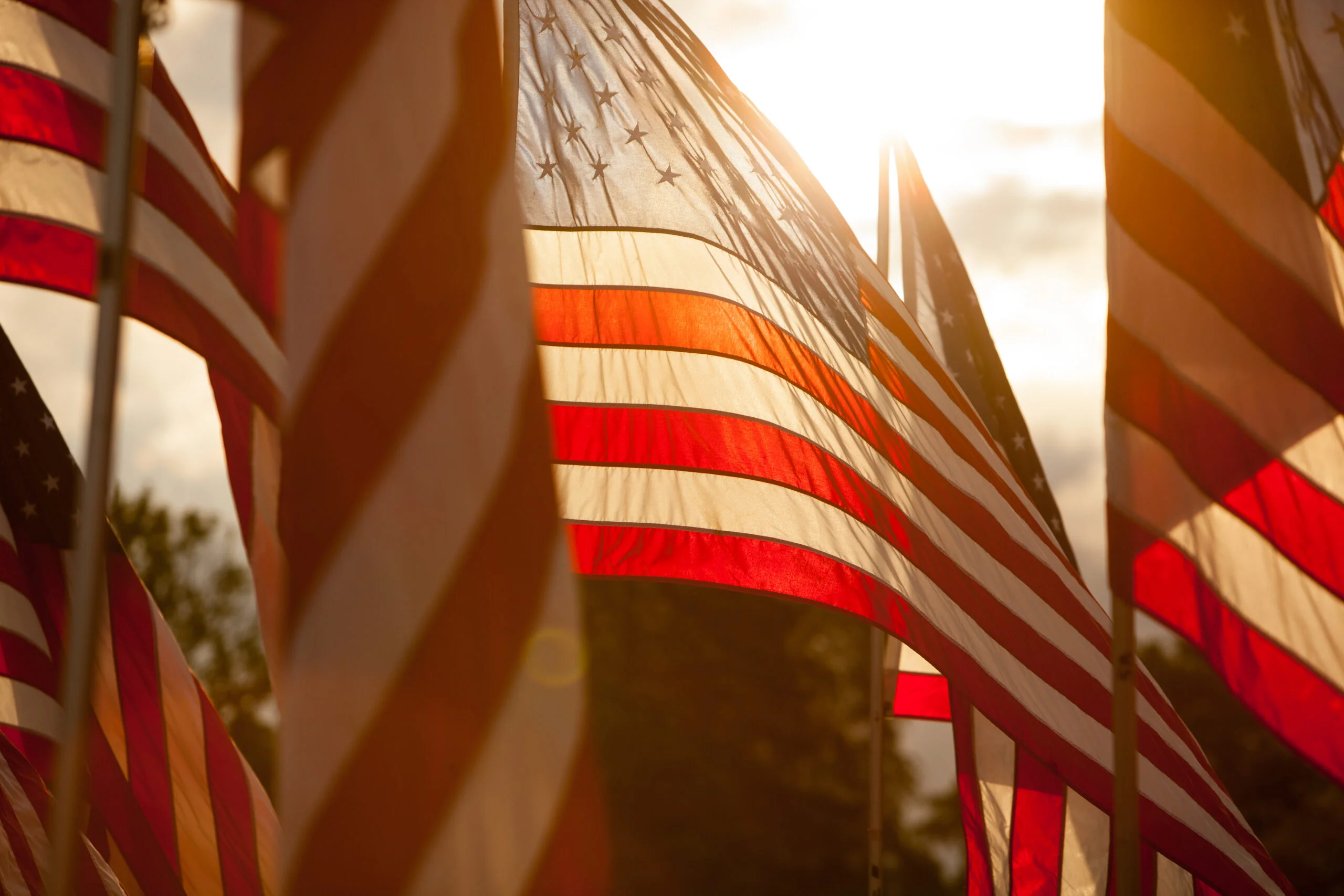 American flags waving in the wind lit by sunlight